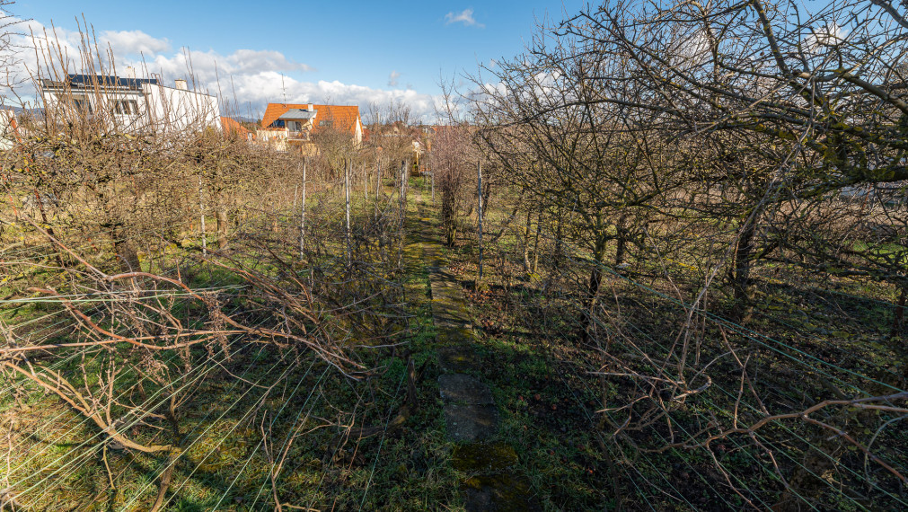 PREDANÉ - PREDAJ: starší rodinný dom, Lúčna 11, Šenkvice