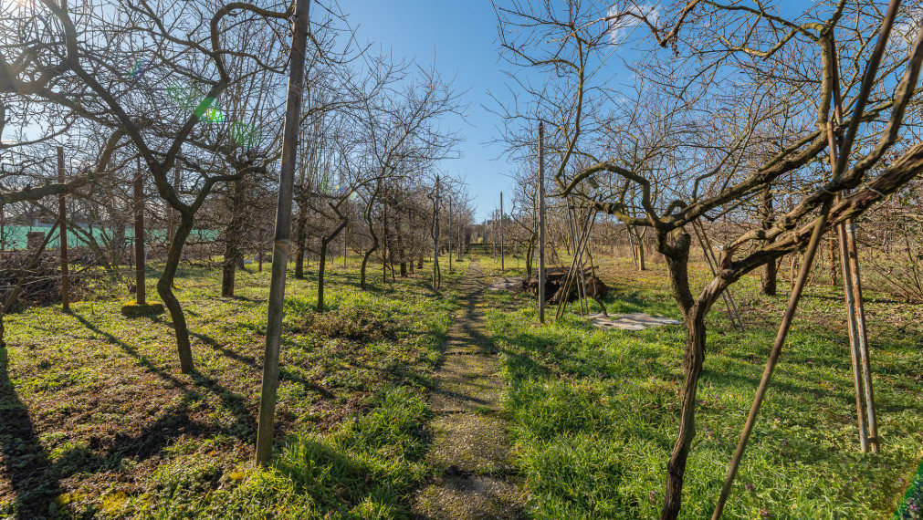 PREDANÉ - PREDAJ: starší rodinný dom, Lúčna 11, Šenkvice