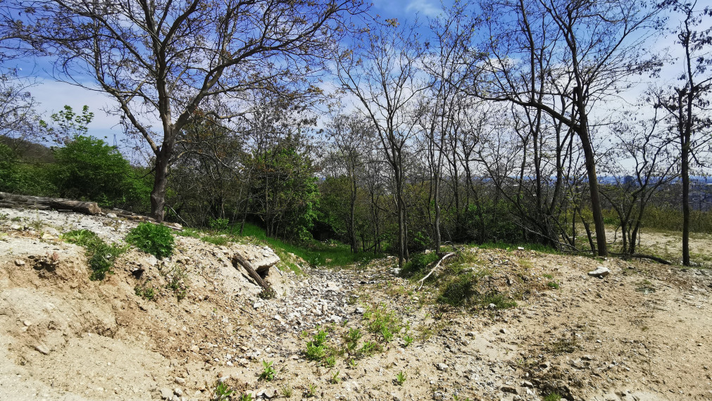 PREDAJ: investičný pozemok s možnosťou budúcej výstavby, 2883 m2, BA - Ahoj Briežky