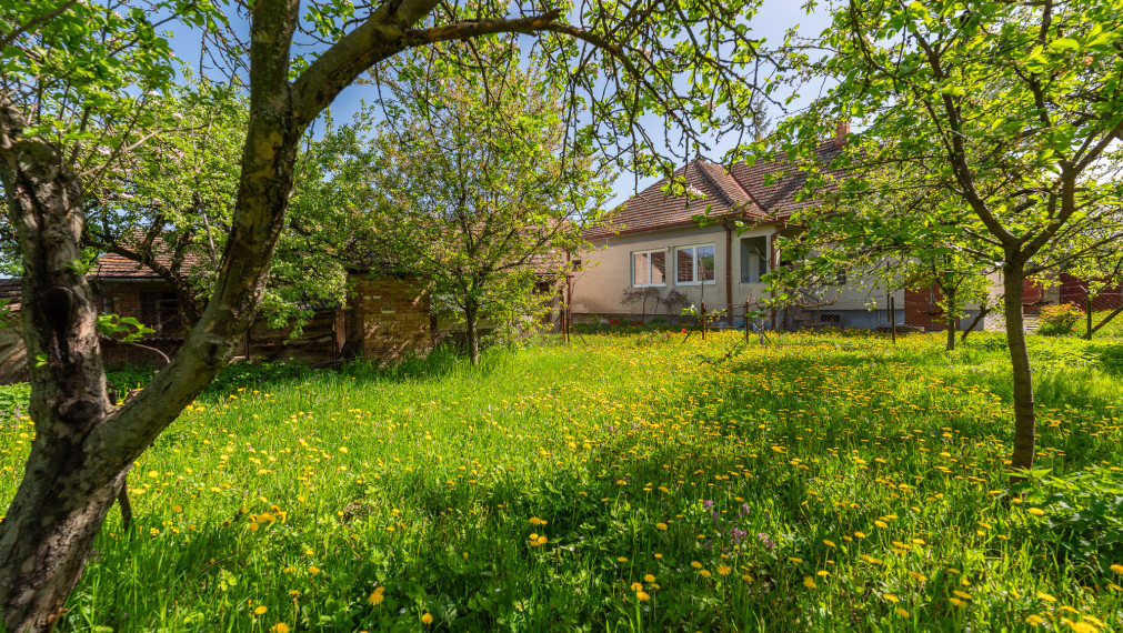 PREDANÉ - PREDAJ: starší rodinný dom s väčším pozemkom, Horná 20, Šenkvice