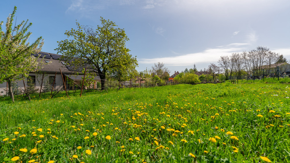 PREDANÉ - PREDAJ: starší rodinný dom s väčším pozemkom, Horná 20, Šenkvice
