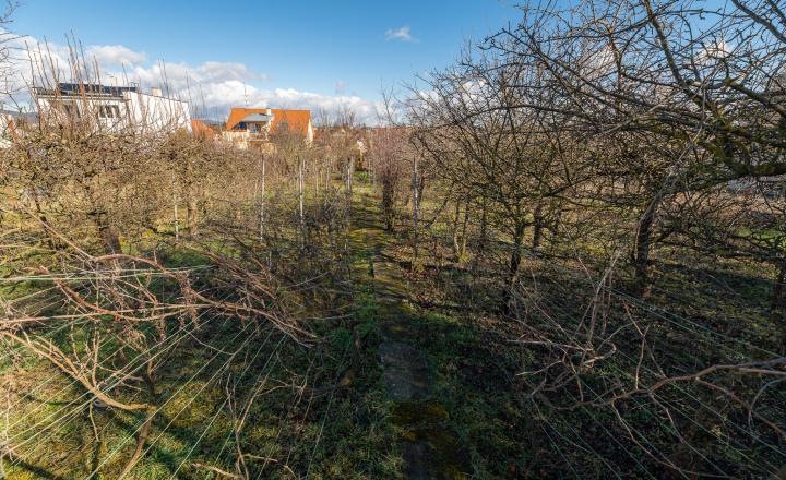 PREDANÉ - PREDAJ: starší rodinný dom, Lúčna 11, Šenkvice - fotografia 4