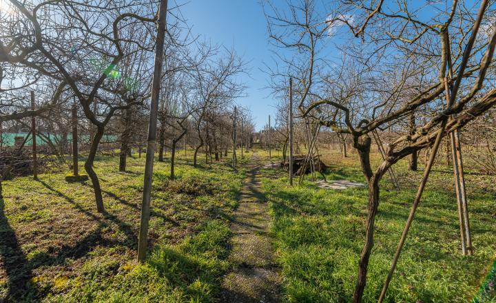 PREDANÉ - PREDAJ: starší rodinný dom, Lúčna 11, Šenkvice - fotografia 5