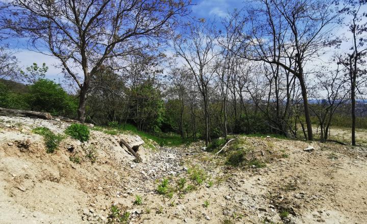PREDAJ: investičný pozemok s možnosťou budúcej výstavby, 2883 m2, BA - Ahoj Briežky - fotografia 2