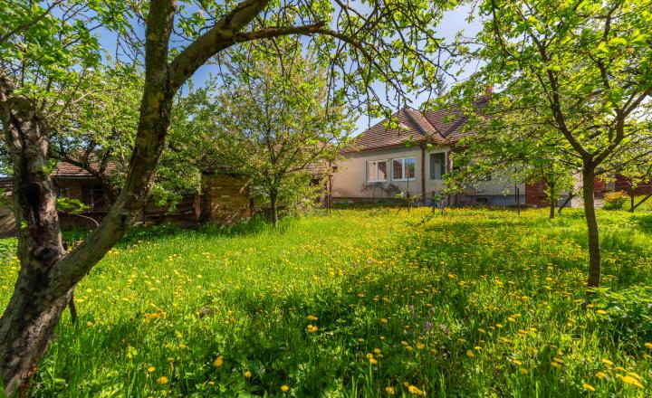 PREDANÉ - PREDAJ: starší rodinný dom s väčším pozemkom, Horná 20, Šenkvice - fotografia 20