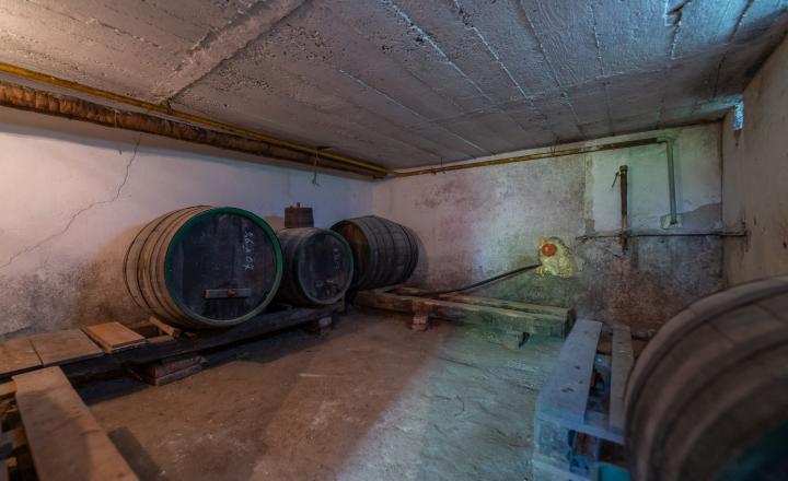 PREDANÉ - PREDAJ: starší rodinný dom s väčším pozemkom, Horná 20, Šenkvice - fotografia 13