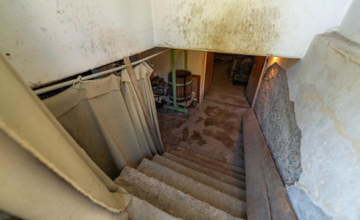 PREDANÉ - PREDAJ: starší rodinný dom s väčším pozemkom, Horná 20, Šenkvice - fotografia 12