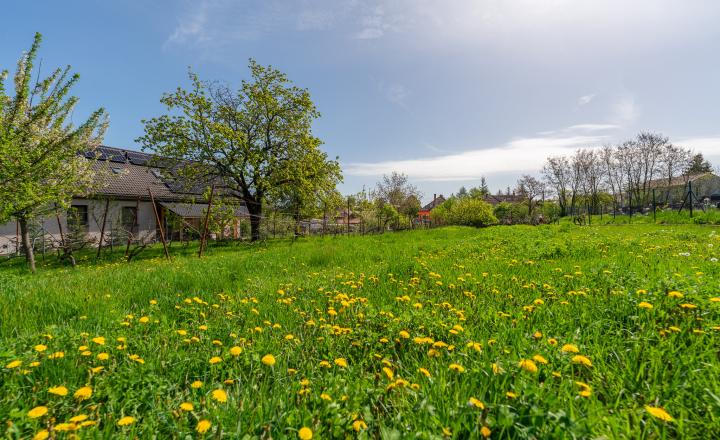 PREDANÉ - PREDAJ: starší rodinný dom s väčším pozemkom, Horná 20, Šenkvice - fotografia 22