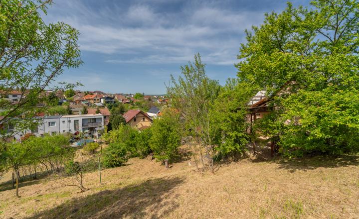 PREDAJ: stavebný pozemok, 1743 m2, Šenkvice - fotografia 1