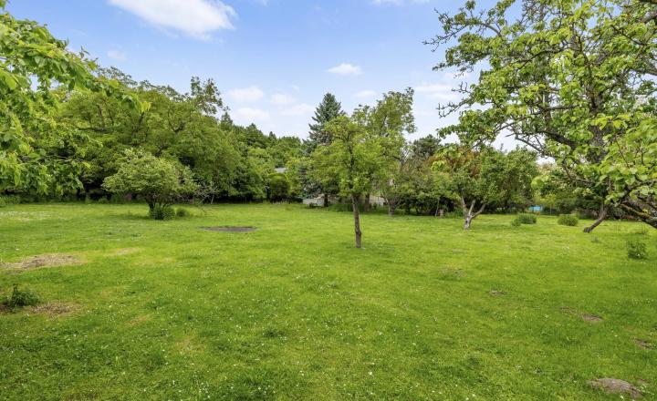 Sídlo pod Červeným Kameňom na krásnom pozemku 3567m² - fotografia 5